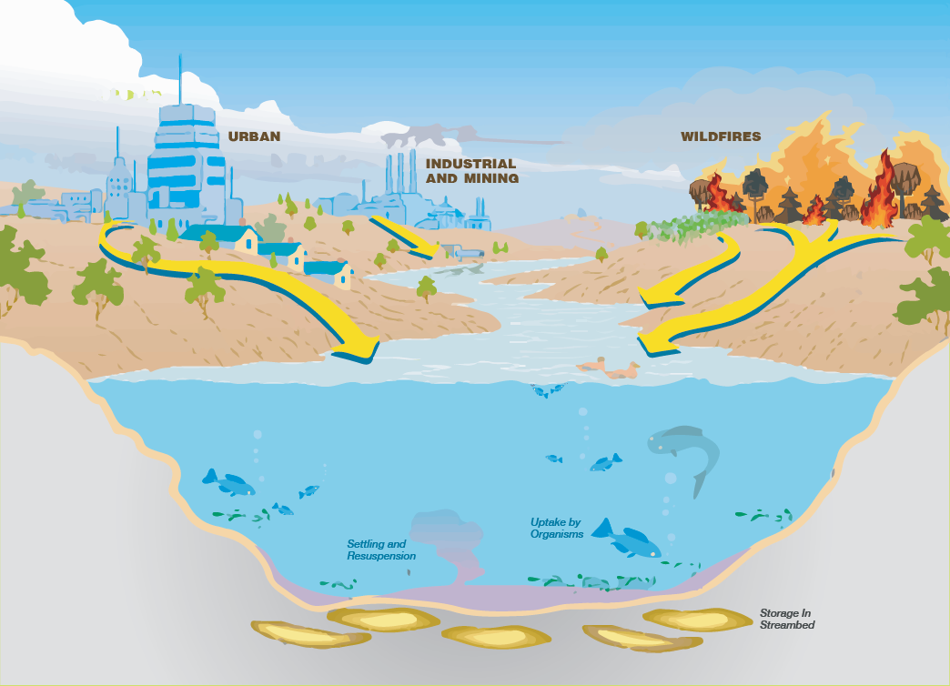 Water in Our Environment – WaterTalksCA.org